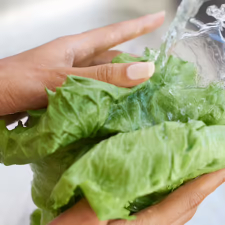 lettuce being washed by hand