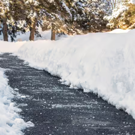 Pathway with salt on it surrounded by snow and trees