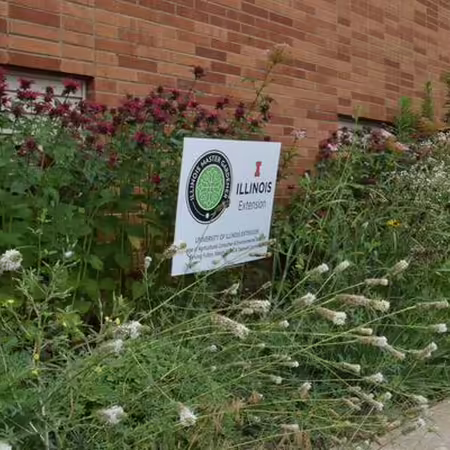 native plant demonstration garden
