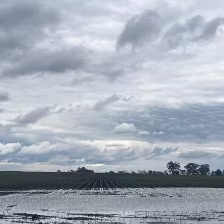 A flooded farm field with dark looming clouds overhead.