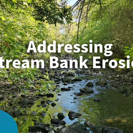 addressing stream bank erosion