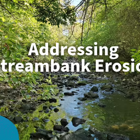 addressing streambank erosion