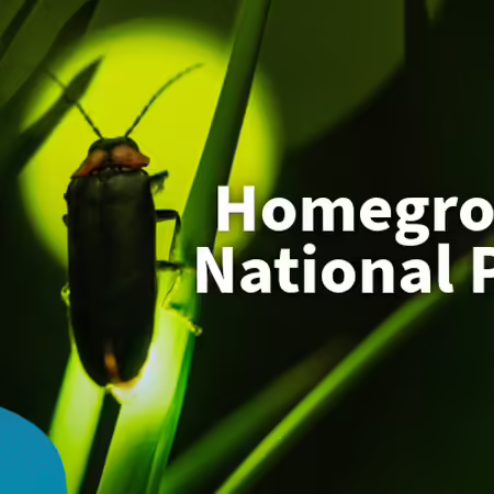 homegrown national park
