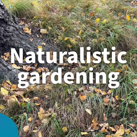 naturalistic gardening