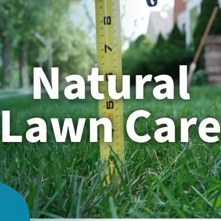 Natural Lawn Care