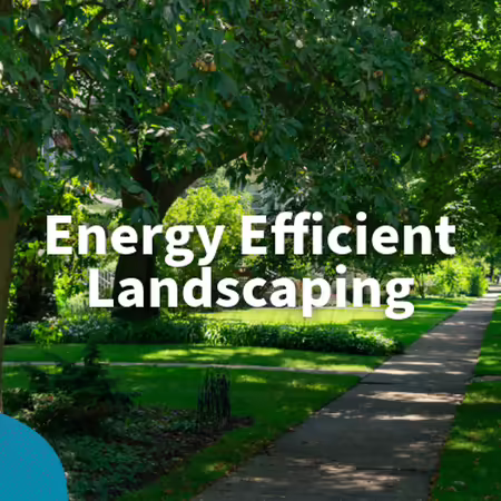 Energy Efficient Landscaping