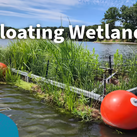 Floating wetlands