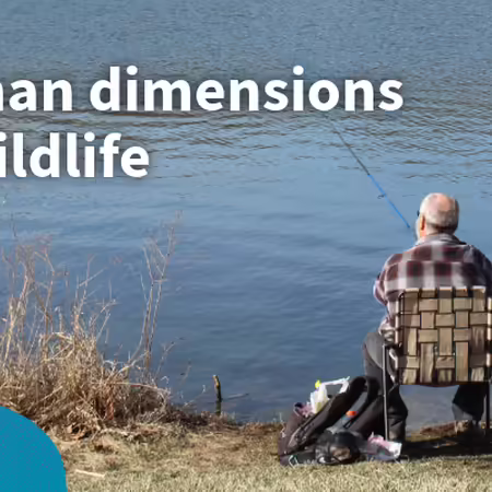 A man facing away sits in a lawn chair fishing on the water's edge