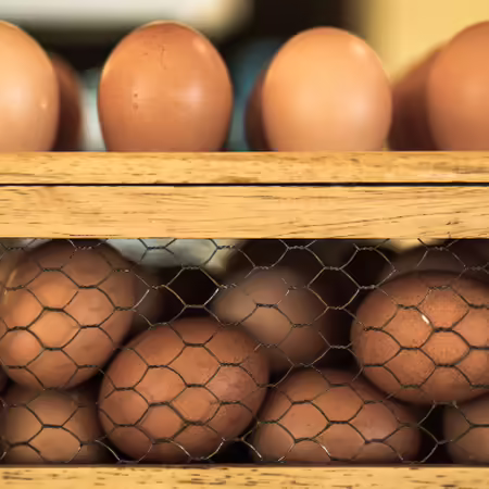 Eggs in wood and wire box