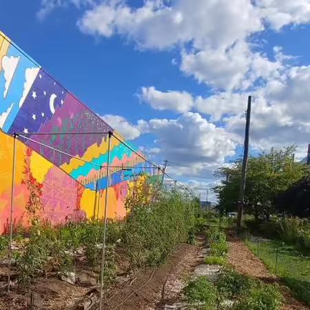 a view of El Paseo's urban farm