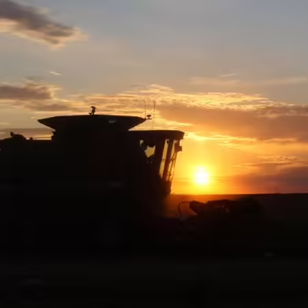 Setting sun and clouds behind a combine in a farm field during harvest.