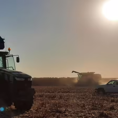 The sun beats down over a partially harvested cornfield with two combines and a white pick up truck in foreground.