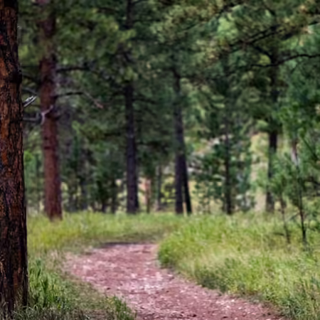 Forestry