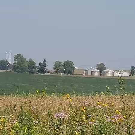 Beautiful native wildflowers bloom in the foreground, and a family farm with mature trees are visible in the background.