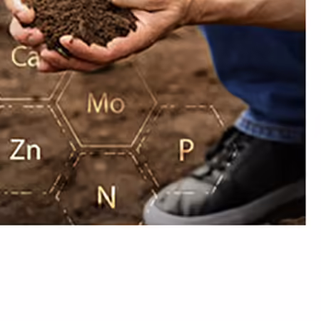 A man's hands and foot are visible as he kneels and sifts through soil.  Chemical symbols like P-Phosphorus and K-Potassium are layered onto the soil image.