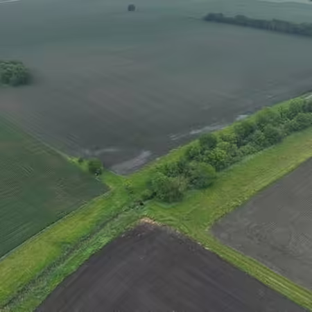 Aerial shot of 4 farm fields intersecting with trees and greens at the center.