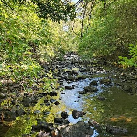 Indian Creek in northern illinois
