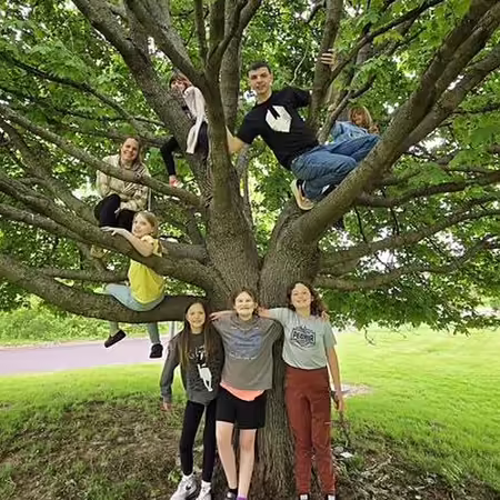 Several kids standing around and in a tree