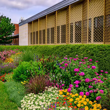 Colorful mixed landscape bed next to a building