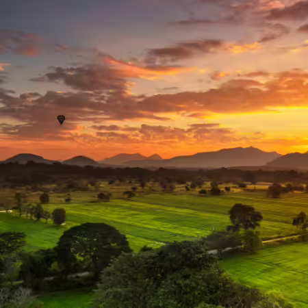 Field with sunset