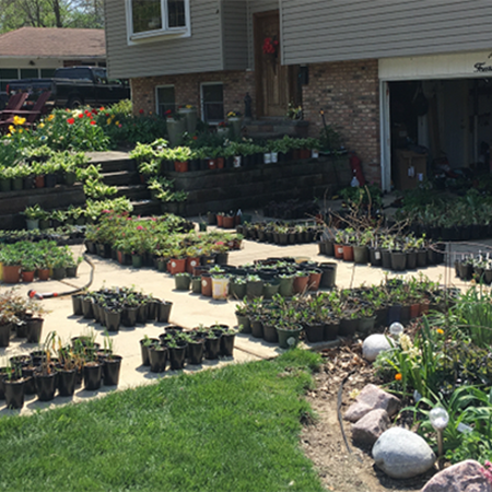 2000 plants for sale displayed in Master Gardener's driveway