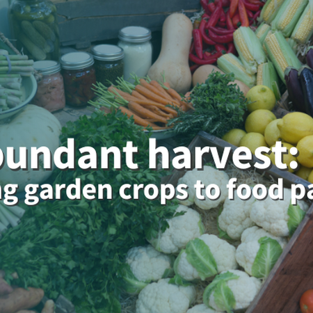 An abundant harvest: Donating garden crops to food pantries variety of garden produce organized on a table display including cauliflower, lemons, herbs, carrots, corn, tomatoes, egg plant and butternut squash