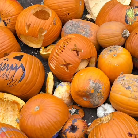 close up of old jack o'lanterns in a pile