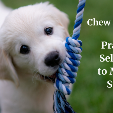 Puppy chewing on a rope. Chew on this... Practice self-care to manage stress
