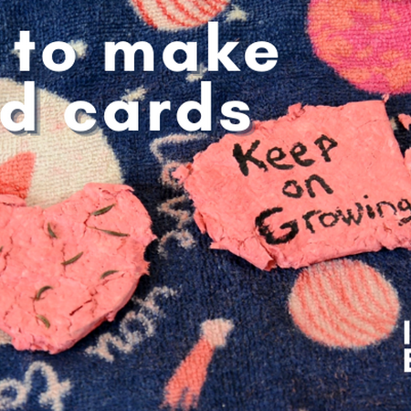 pink seed cards made for Valentine's Day