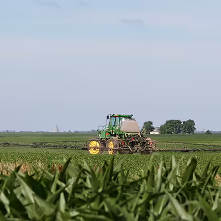 tractor sprayer in corn field