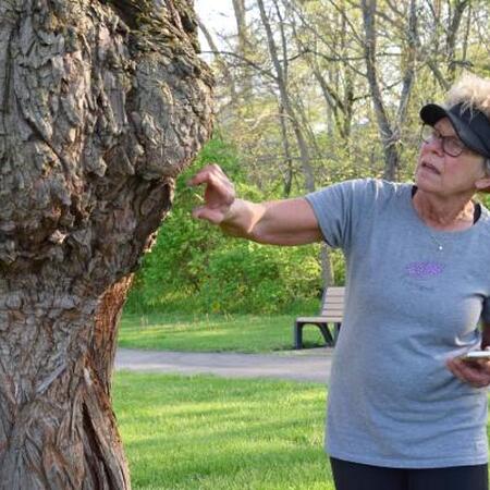 woman looking at and pointing at a tree trunk
