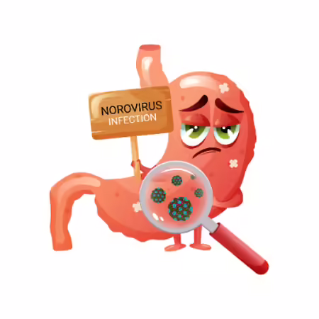A cartoon image of a sad stomach with Norovirus infection