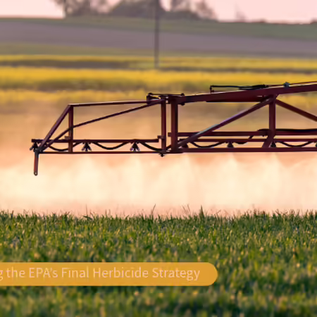 tractor sprayer spraying a fine mist in the field