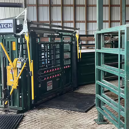 Cattle working facilities