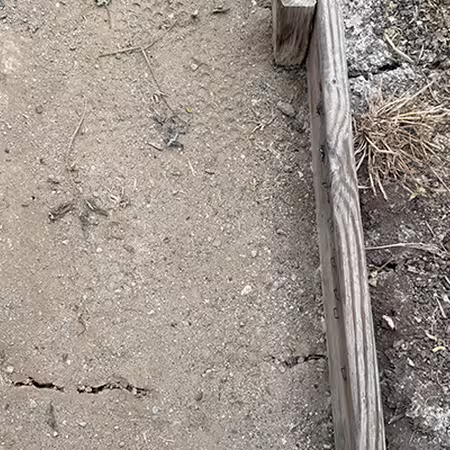 cracks in bare soil inside and between raised beds inside high tunnel