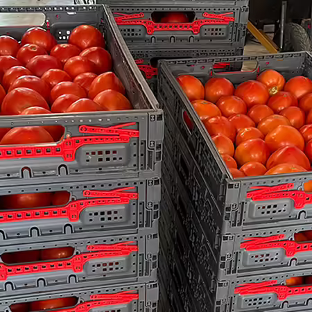 gray plastic container stacked on top of each other filled with red ripe tomatoes