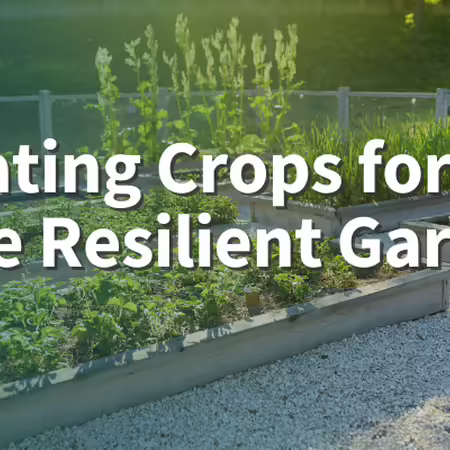 Rotating Crops for a More Resilient Garden  raised garden beds with various garden crops