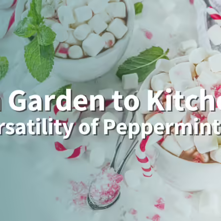 From garden to kitchen: the versatility of peppermint image of peppermint leaves and red and white peppermint candy
