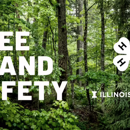 Tree Stand Safety