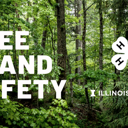 Tree Stand Safety