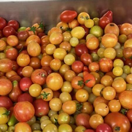 a bin full of different colors and sizes of cherry tomatoes