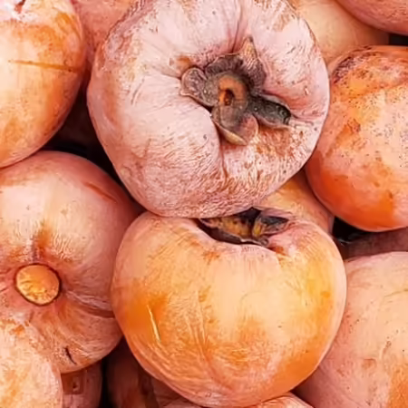 pile of ripe persimmon fruits close up