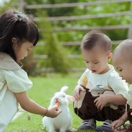 three children feeding a rabbit