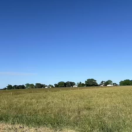 pasture