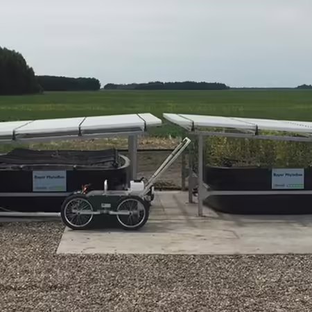Phytobac system