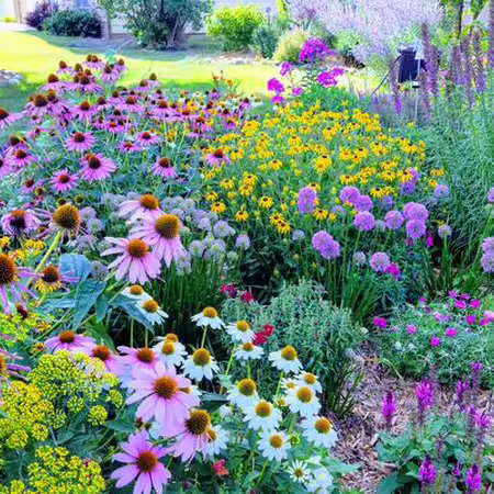  flower garden in bloom