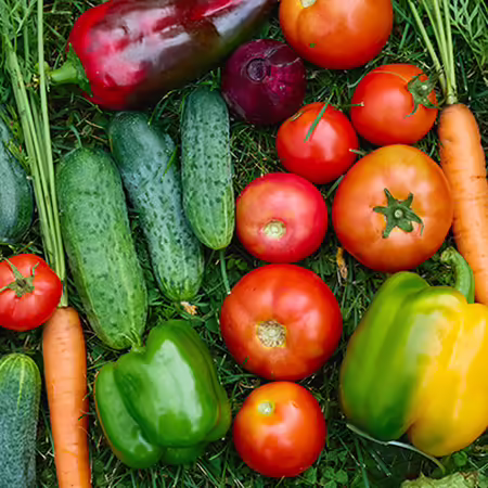 A group of vegetables on grass
