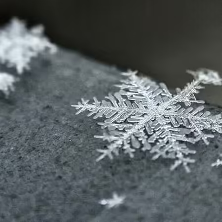 snowflakes 