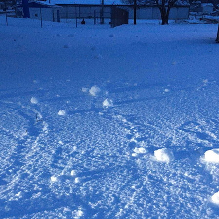 A dark snow covered yard with rolled snow balls with tracks behind them