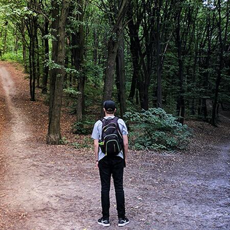 Person in forest looking at two different paths